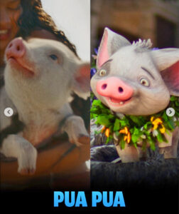 pua pua